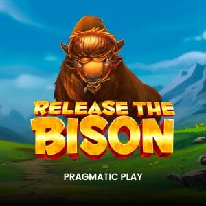 Release the Bison game icon